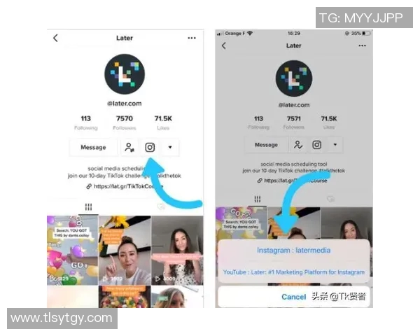 深入分析Instagram运营策略与技巧的专业解读